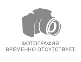 Мотозапчасти